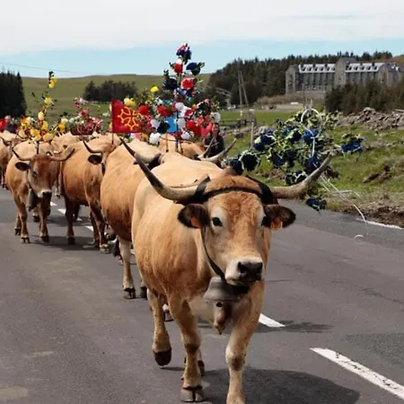 Le Royal Aubrac - Gites Ostello *